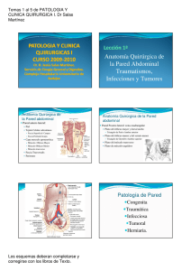Anatomía Quirúrgica de la Pared Abdominal Traumatismos