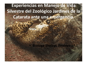 Experiencias en Manejo de Vida Silvestre del Zoológico Jardines de