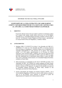 informe técnico (r. pesq.) nº03/2006 suspensión de la