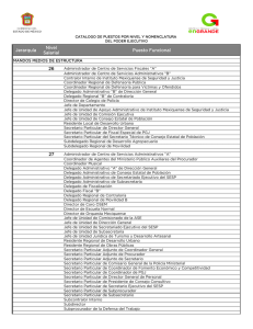 Jerarquía Nivel Salarial Puesto Funcional 26 27