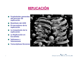 El mecanismo de la replicación