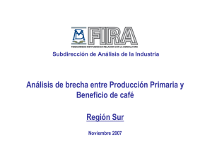 Análisis de brecha entre Producción Primaria y Beneficio de café