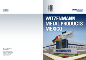Witzenmann Metal Products México S.A. de C.V. Parque Industrial