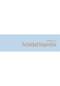 Actividad Inspectiva - Dirección del Trabajo
