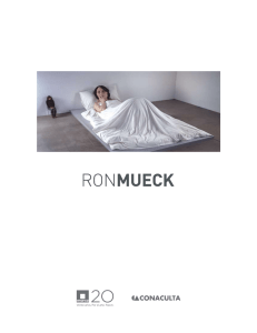 pdf mueck_v7.docx