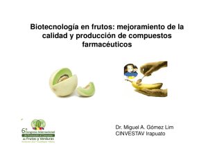 Biotecnología en frutos: mejoramiento de la calidad y producción de