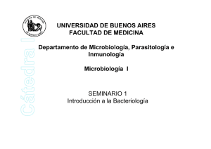 Bacterias - Facultad de Medicina