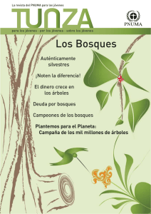 Los Bosques - Our Planet