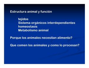 Estructura animal y función tejidos Sistema orgánicos