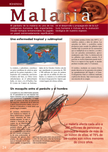 La malaria afecta cada año a 300 millones de personas y provoca la
