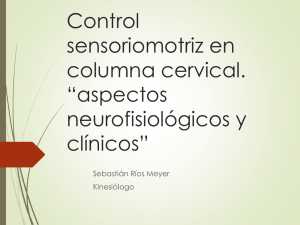 Control sensoriomotriz en columna cervical. “aspectos