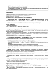 AMOXICILINA NORMON 750 mg COMPRIMIDOS EFG