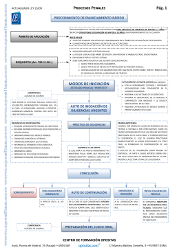 Esquema Procesos Penales - Procedimiento