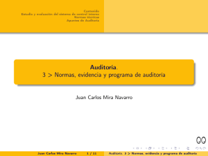 Auditoría. 3 > Normas, evidencia y programa de auditoría