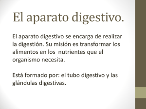 El aparato digestivo. - Gobierno de Canarias