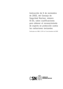 Instrucción de 6 de noviembre de 2002, del Consejo de Seguridad