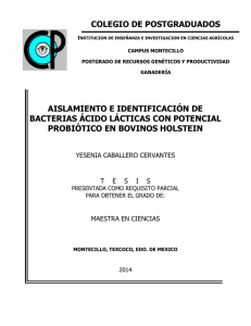 aislamiento e identificación de bacterias ácido lácticas con potencial