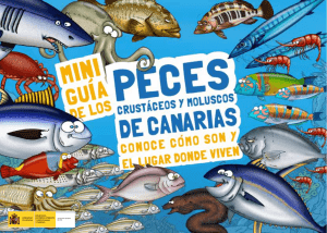 Mini Guía de los peces, crustáceos y moluscos de Canarias.