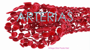 Las arterias son conductos que transportan la sangre del corazón a