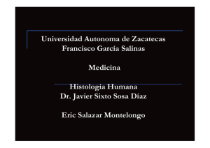 Universidad Autonoma de Zacatecas Francisco García