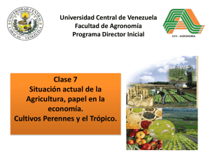 Clase N°7 Situación actual de la Agricultura , papel en la economía