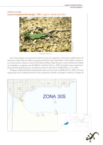 ZONA 3OS - Lacerta.de