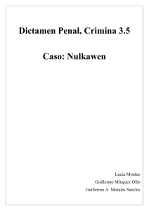 Solución Nullkawen (versión pdf)