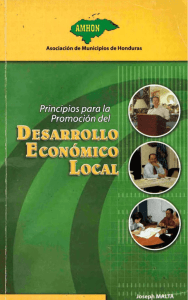 pdf Principios para la promoción del desarrollo económico local