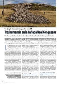 Trashumancia en la Cañada Real Conquense