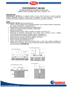 FESTERGROUT NM 800