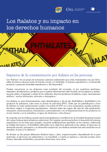 Los ftalatos y su impacto en los derechos humanos