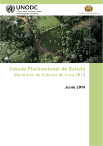 Estado Plurinacional de Bolivia – Monitoreo de Cultivos de Coca 2013
