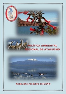POLÍTICA AMBIENTAL REGIONAL DE AYACUCHO
