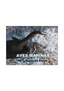 aves marinas - Dirección General de Medio Ambiente