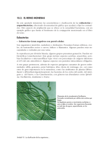 10.2. EL REINO MONERAS Eubacterias