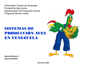 sistemas de producción aves en venezuela