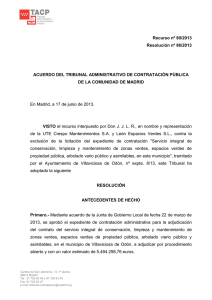 Resolución 86/2013, de 17 de junio.