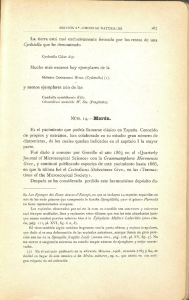 La tierra está casi exclusivamente formada por los restos de una