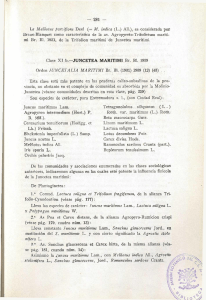 Clase XI b.—JUNCETEA MARITIMI Br. Bl. 1939 Orden JUNCETALIA