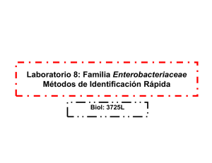 Laboratorio 8: Familia Enterobacteriaceae Métodos de Identificación