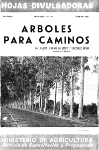 ARBOLES PARA CAMINOS