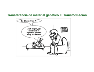 Transferencia de material genético II: Transformación