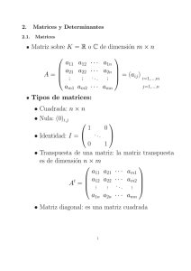 Matriz sobre K = R o C de dimensión m × n A = a11 a12 ··· a1n a21