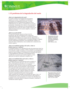 1. El problema de la degradación del suelo