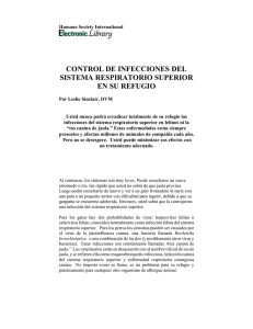 Control de Infecciones del Sistema Respiratorio Superior en Su