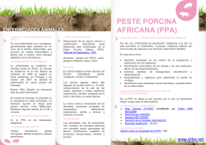 Ficha Peste Porcina Africana