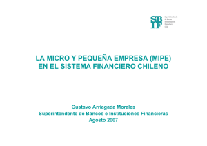 La Micro y Pequeña Empresa (MIPE) en el Sistema Financiero