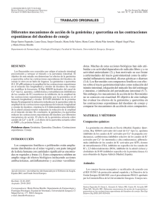 Diferentes mecanismos de acción de la genisteína y quercetina en