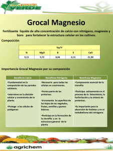 Diapositiva 1 - Agronegocios Suplidora Verde