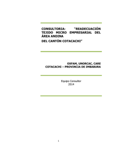 consultoria: “readecuación tejido micro empresarial del área andina